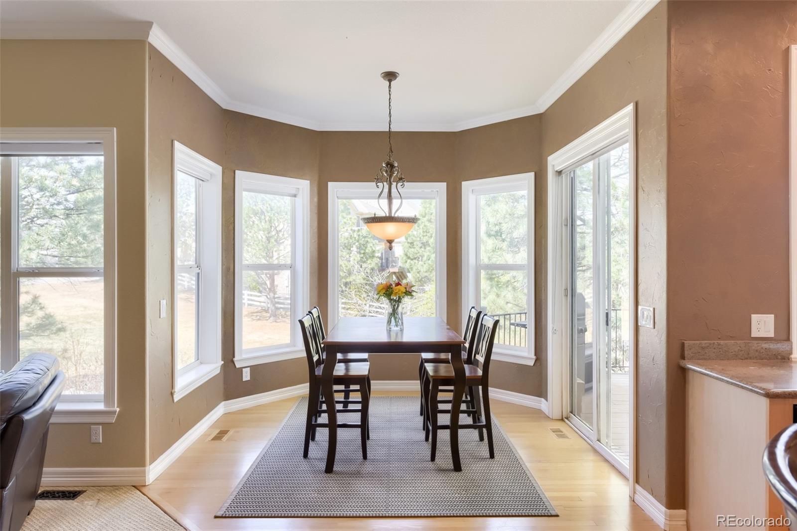 MLS Image #12 for 9969  longview drive,lone tree, Colorado