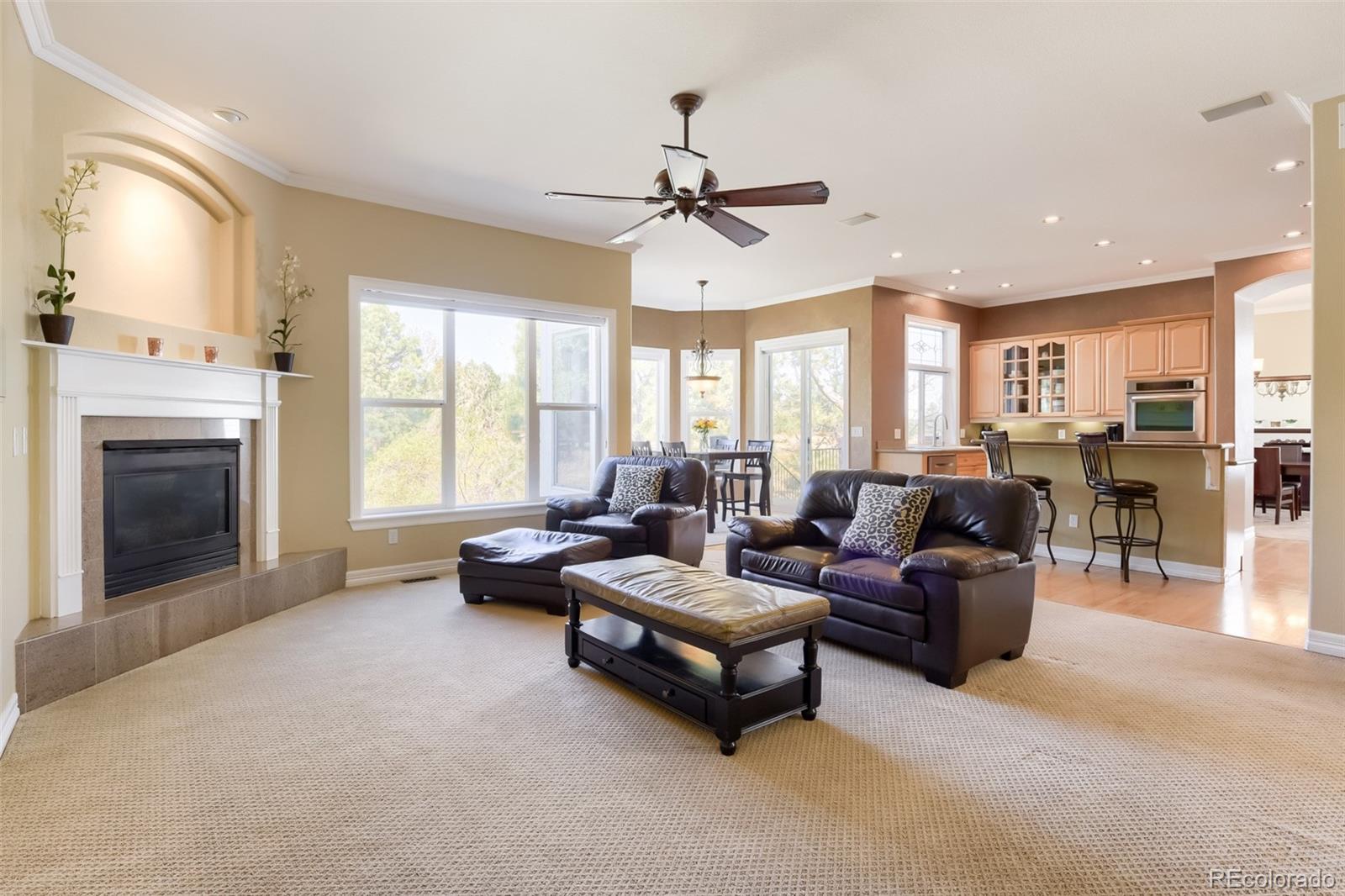 MLS Image #14 for 9969  longview drive,lone tree, Colorado