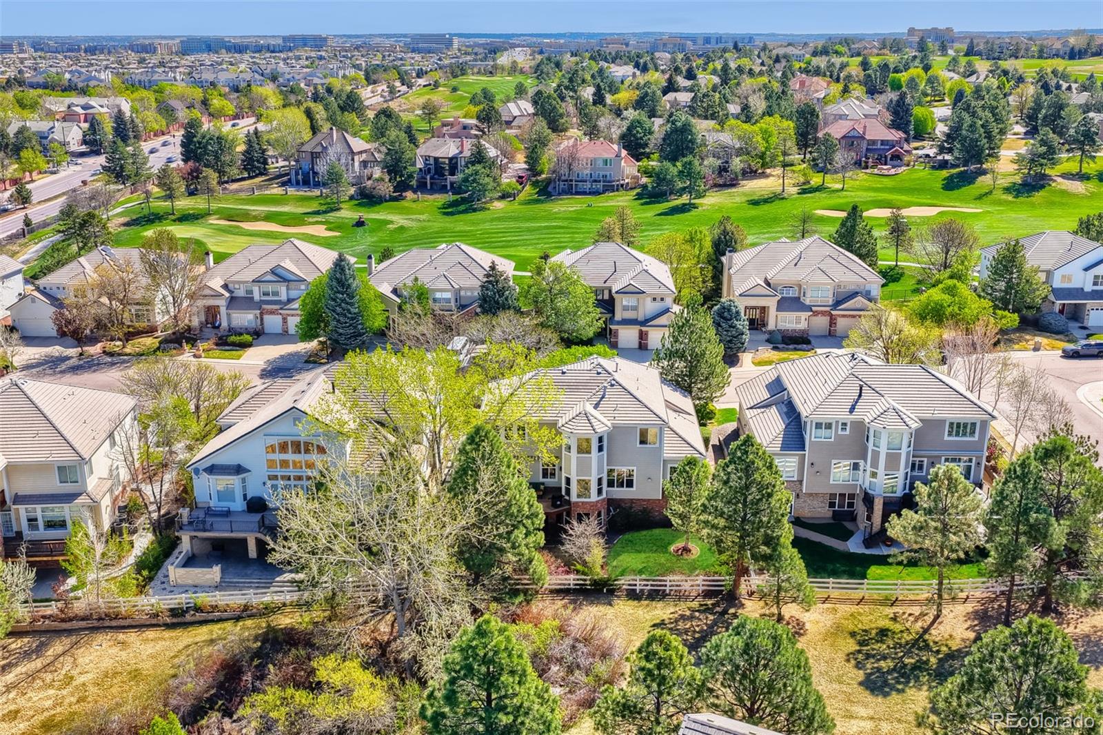 MLS Image #3 for 9969  longview drive,lone tree, Colorado