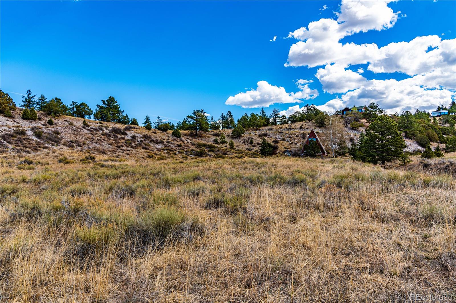 MLS Image #30 for 177  bunker hill circle,silver cliff, Colorado