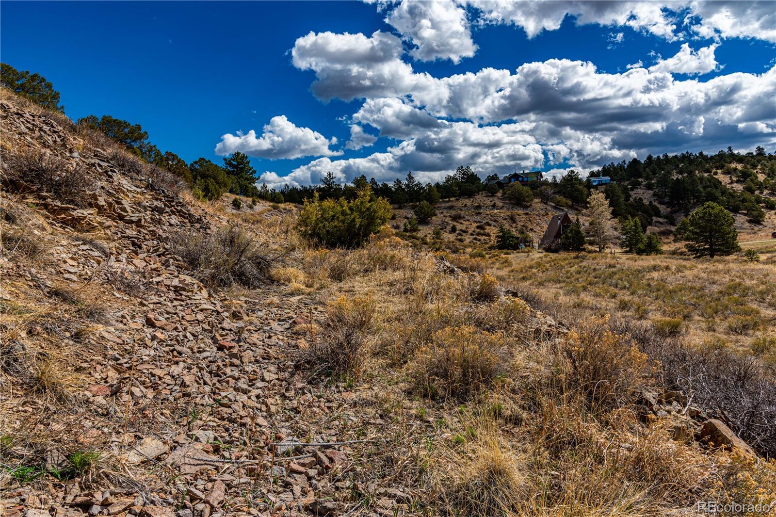 MLS Image #31 for 177  bunker hill circle,silver cliff, Colorado