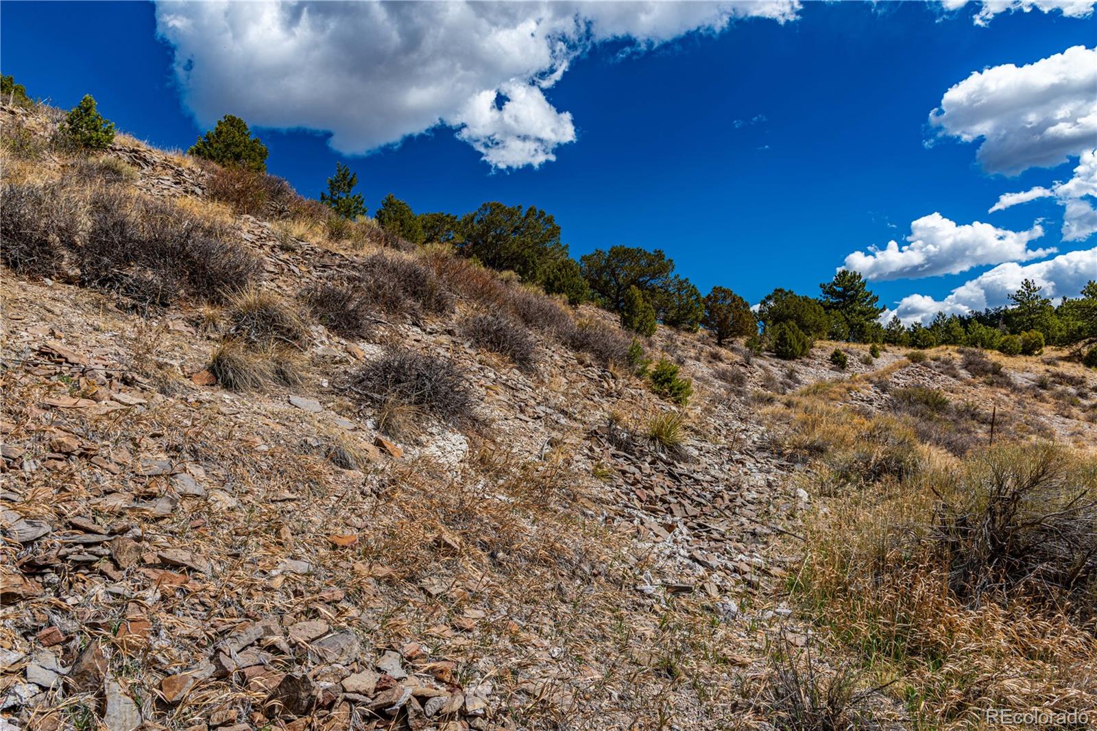 MLS Image #32 for 177  bunker hill circle,silver cliff, Colorado