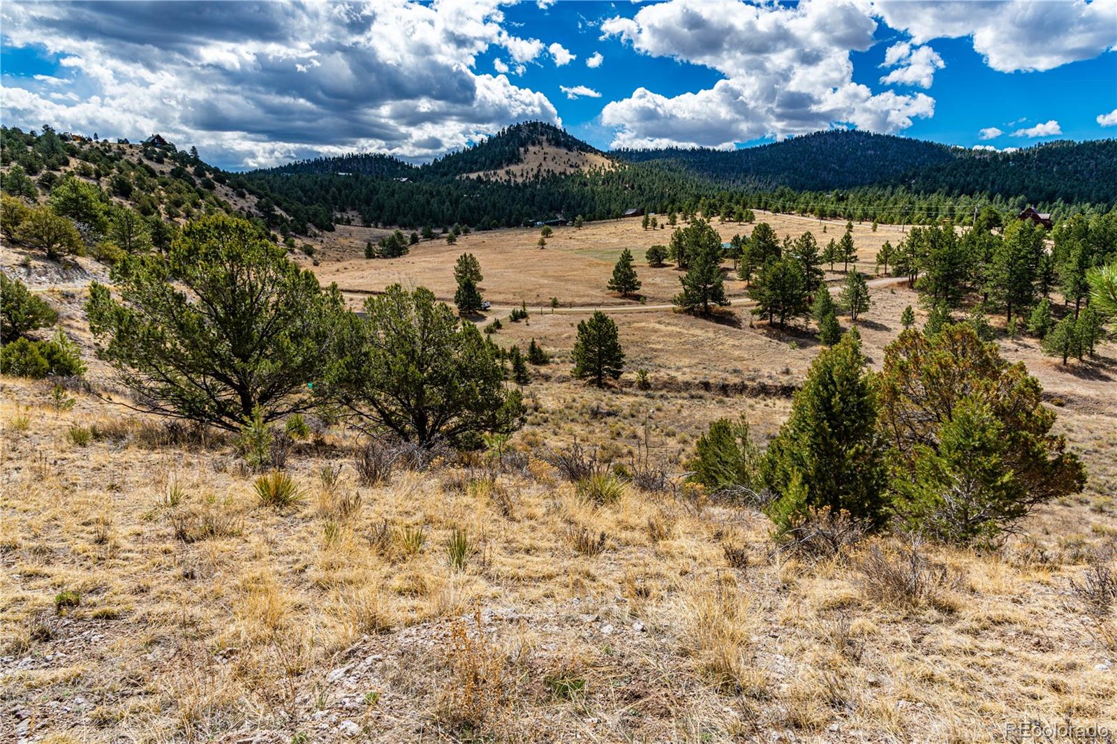 MLS Image #34 for 177  bunker hill circle,silver cliff, Colorado