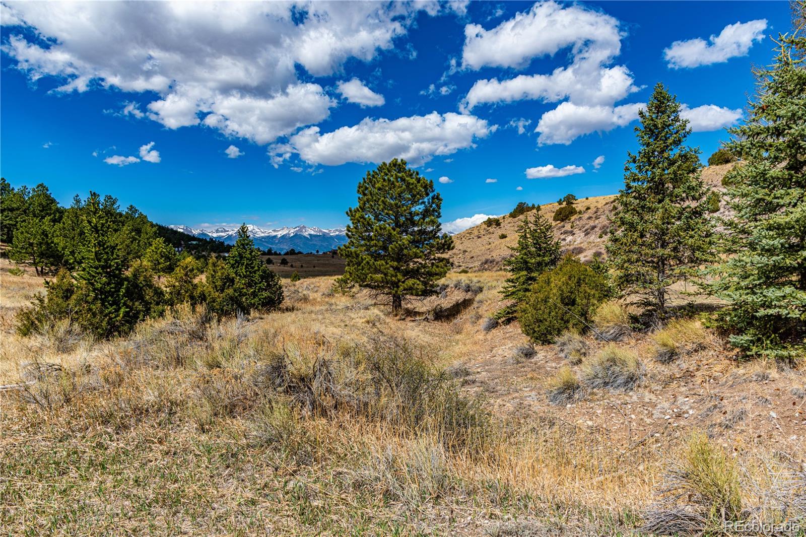 MLS Image #40 for 177  bunker hill circle,silver cliff, Colorado