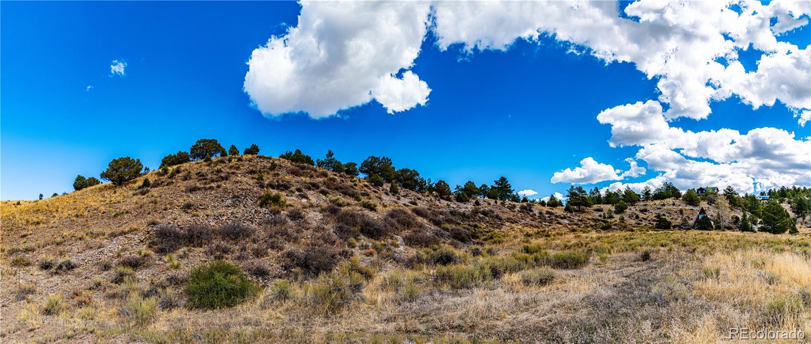 MLS Image #41 for 177  bunker hill circle,silver cliff, Colorado