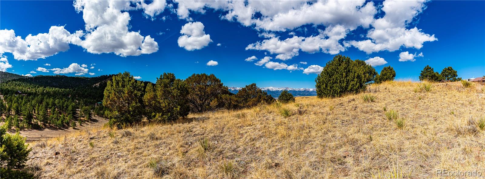 MLS Image #44 for 177  bunker hill circle,silver cliff, Colorado