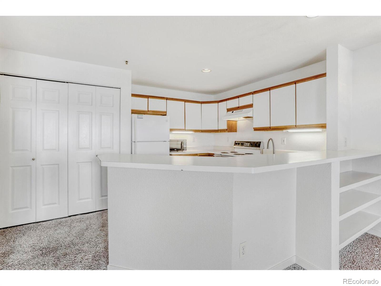 MLS Image #11 for 33 s boulder circle,boulder, Colorado