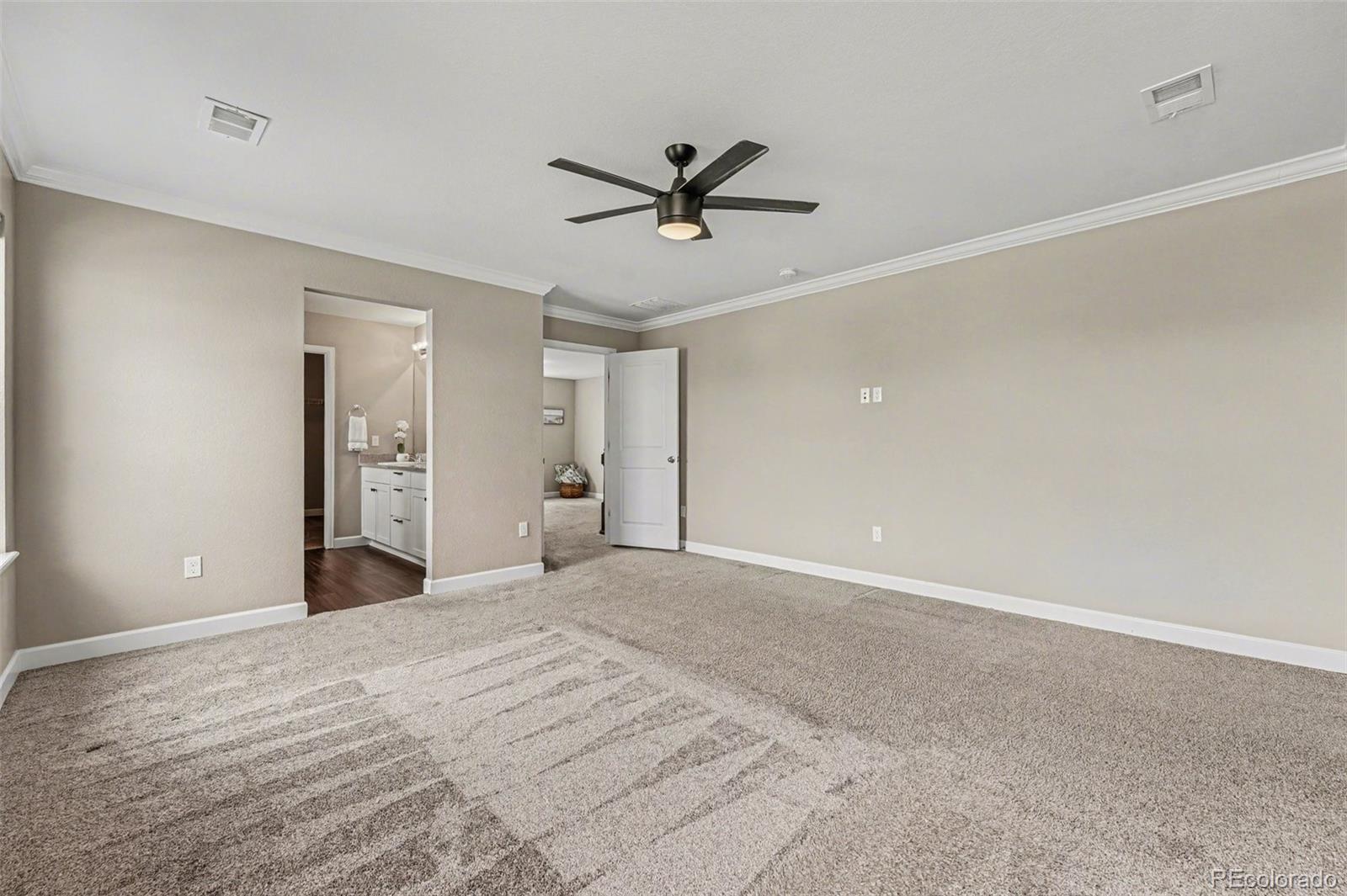 MLS Image #17 for 964  white leaf circle,castle rock, Colorado