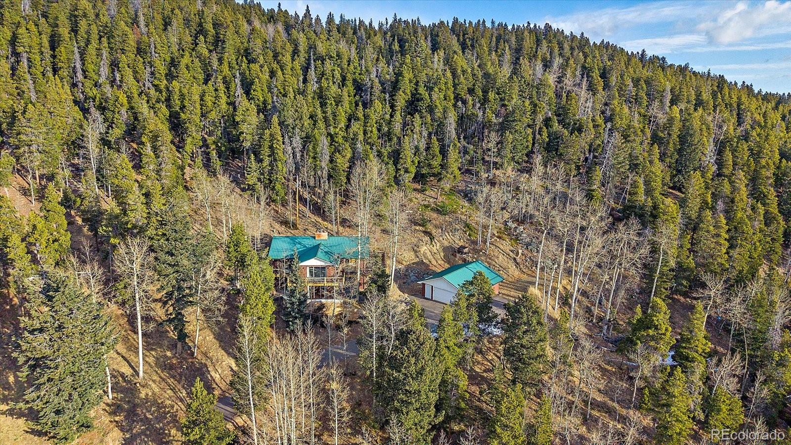 MLS Image #1 for 66  lodgepole circle,evergreen, Colorado