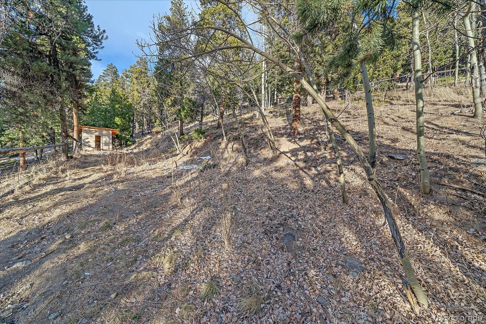 MLS Image #35 for 66  lodgepole circle,evergreen, Colorado