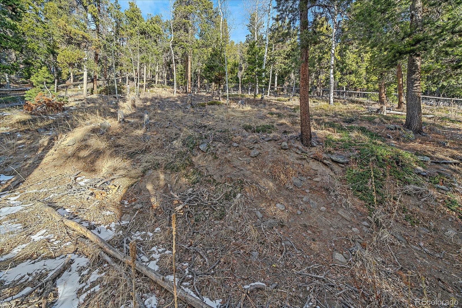 MLS Image #4 for 66  lodgepole circle,evergreen, Colorado