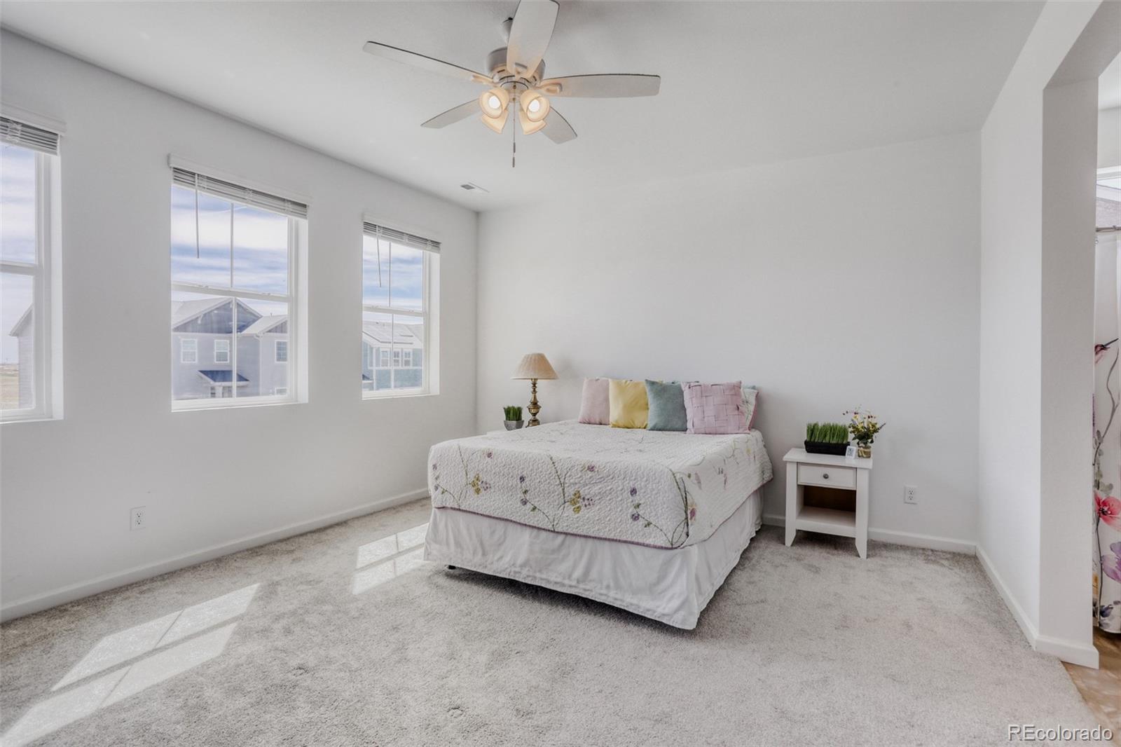 MLS Image #11 for 14583  normande drive,mead, Colorado