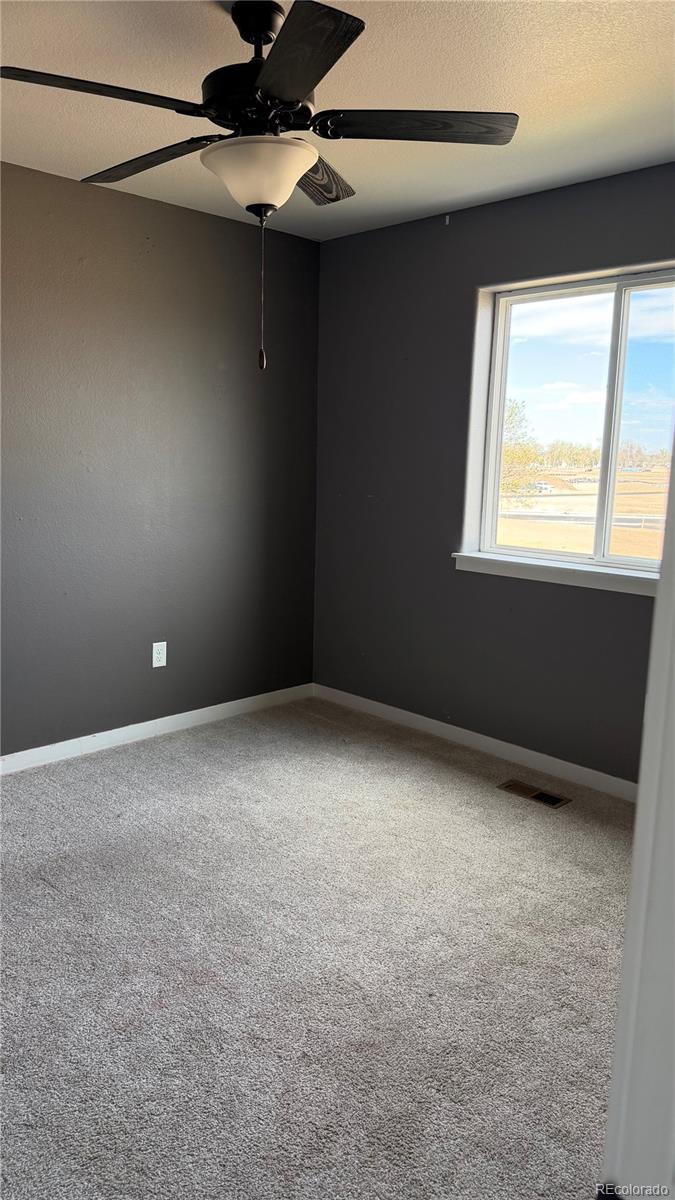 MLS Image #18 for 218  cowbell drive,berthoud, Colorado