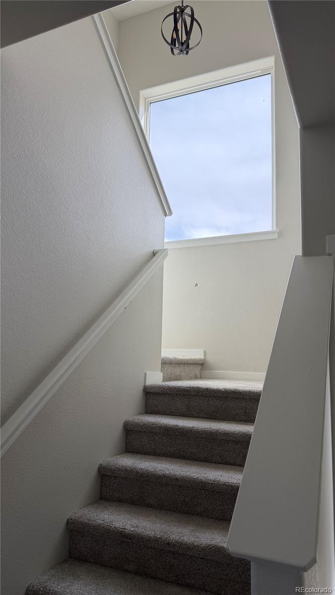 MLS Image #8 for 218  cowbell drive,berthoud, Colorado