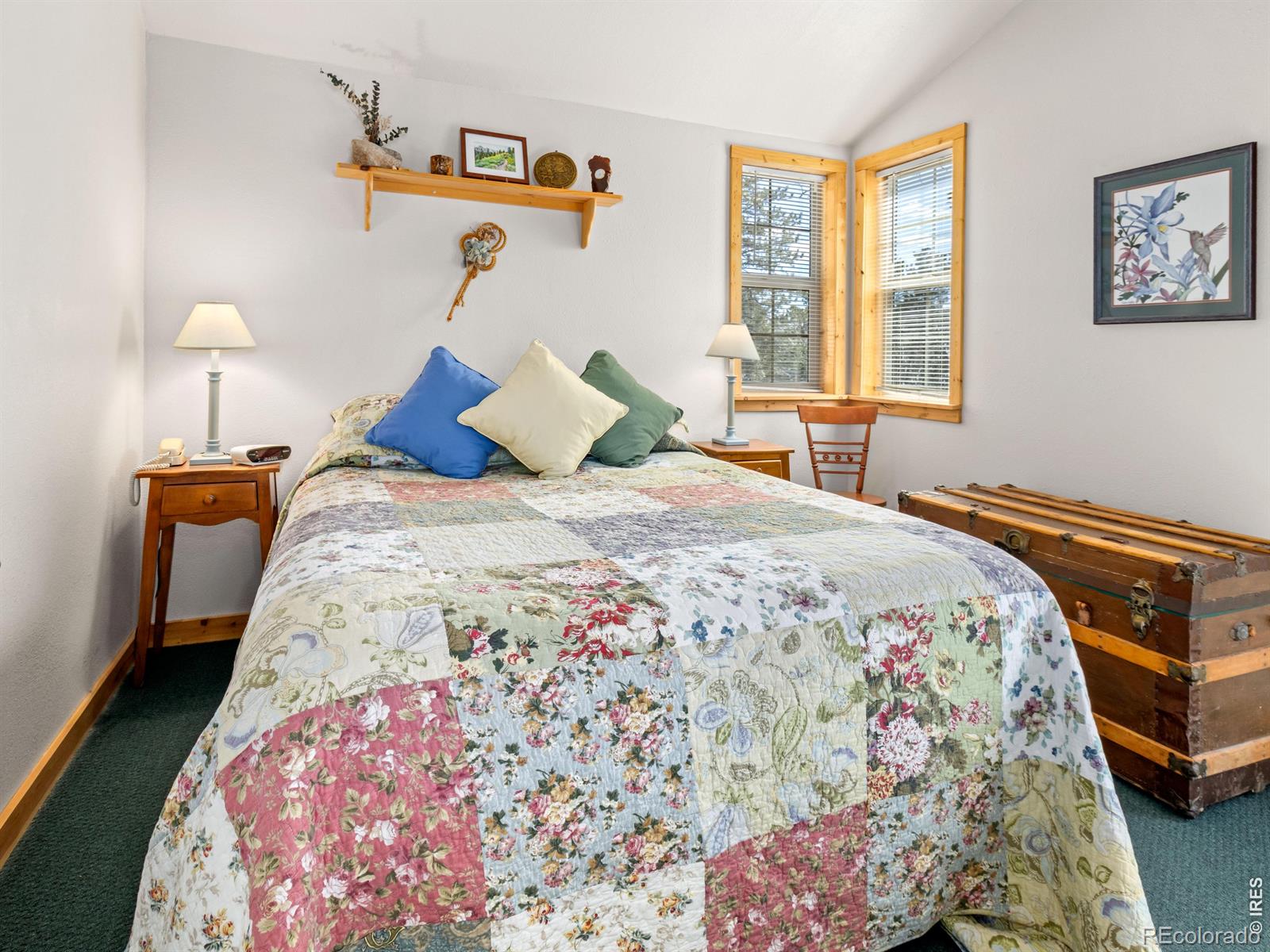 MLS Image #11 for 131  county road 90 ,allenspark, Colorado