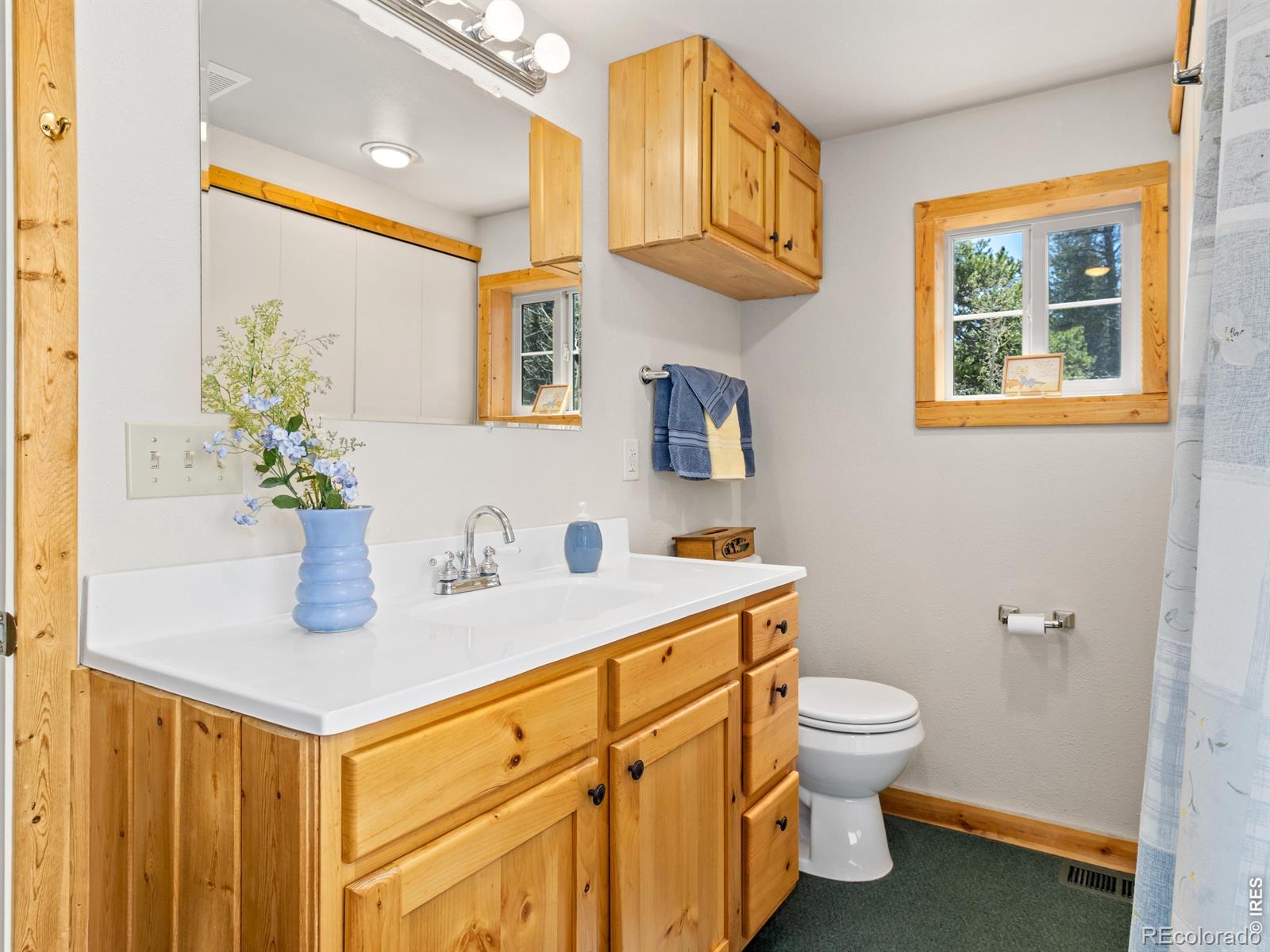 MLS Image #12 for 131  county road 90 ,allenspark, Colorado