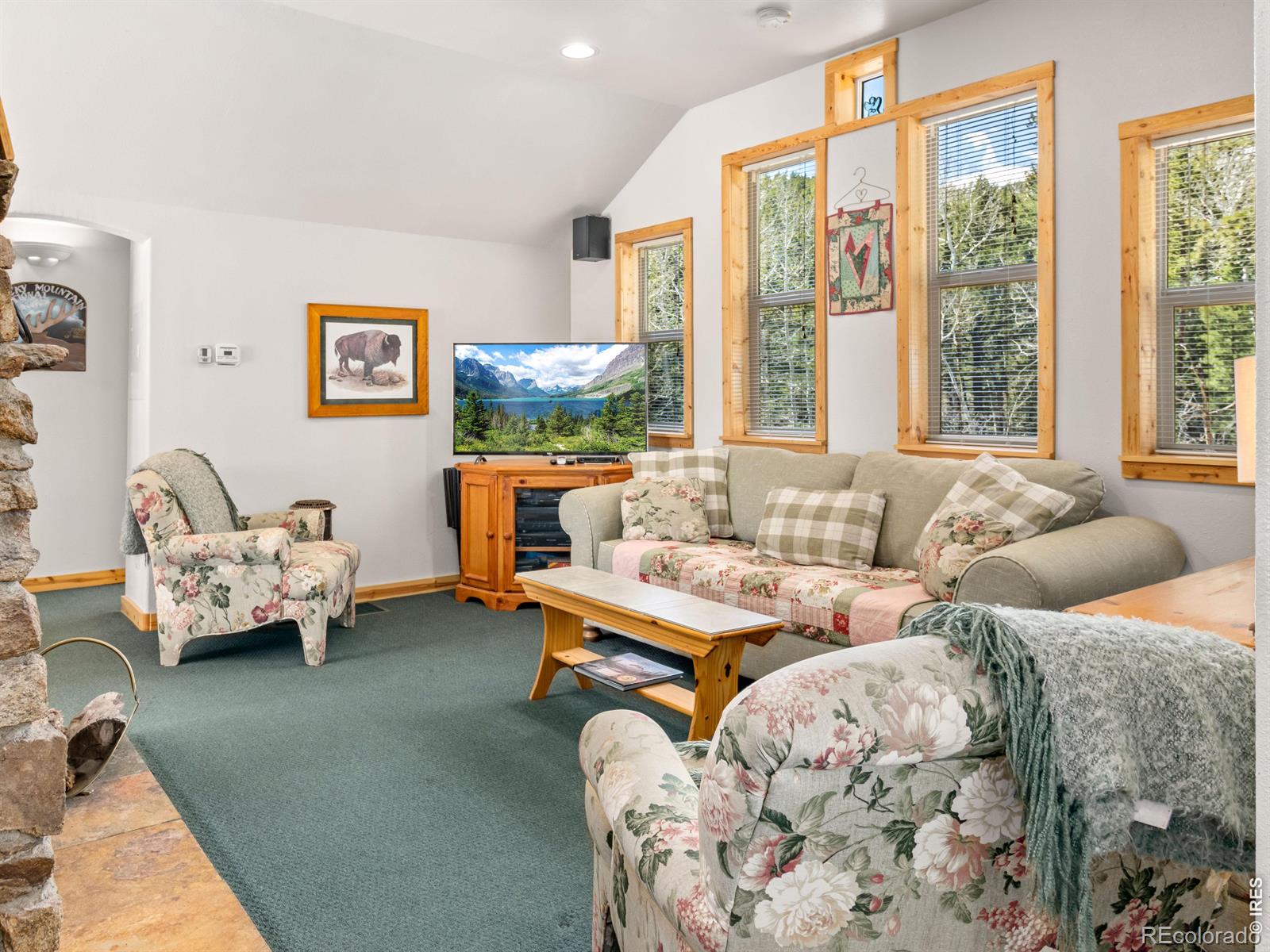 MLS Image #17 for 131  county road 90 ,allenspark, Colorado