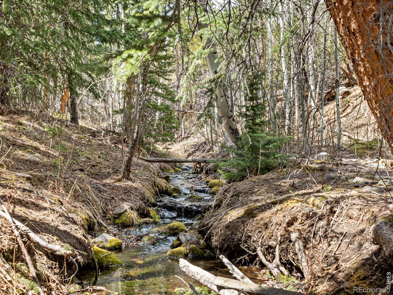 MLS Image #2 for 131  county road 90 ,allenspark, Colorado
