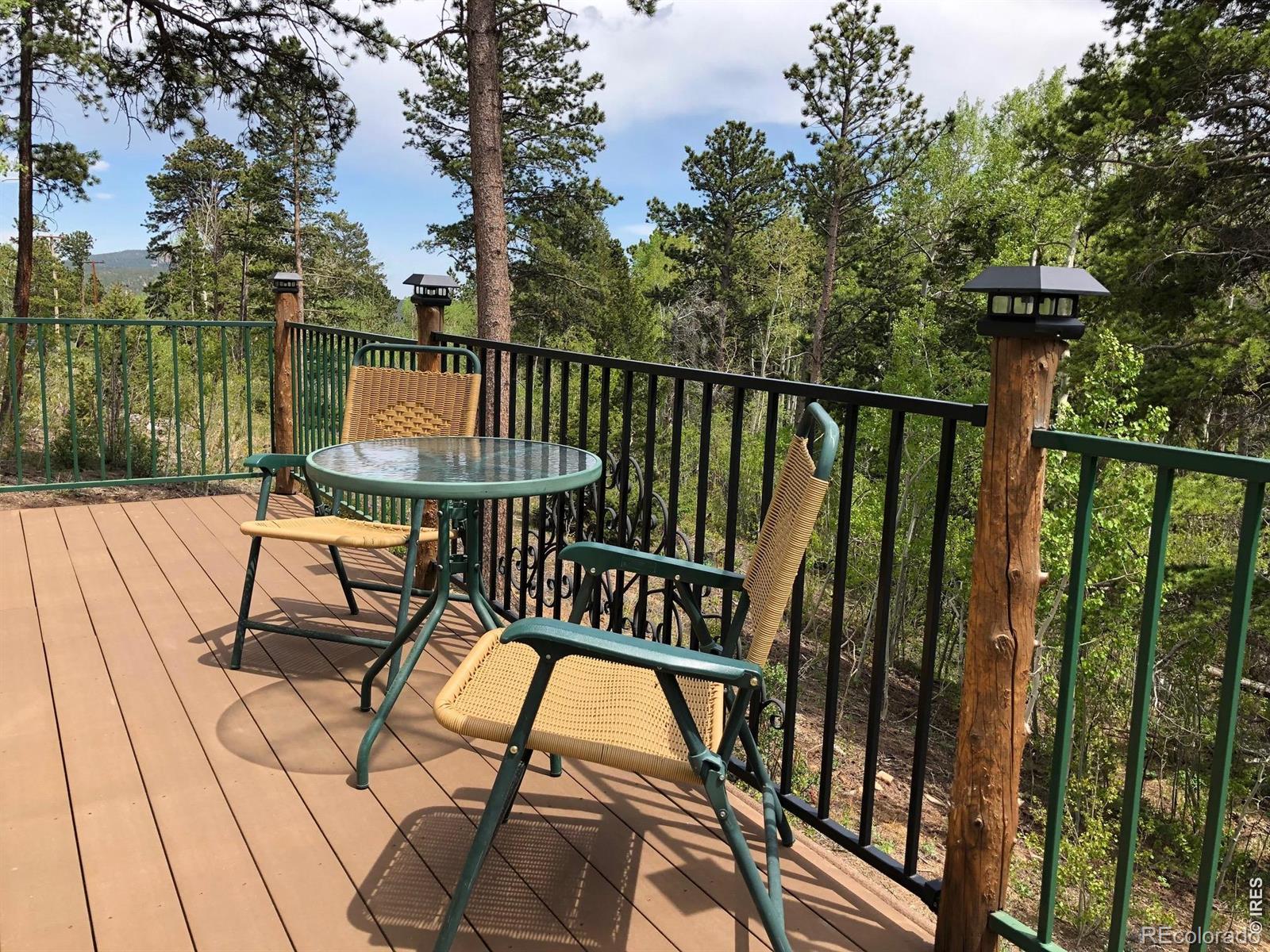 MLS Image #30 for 131  county road 90 ,allenspark, Colorado