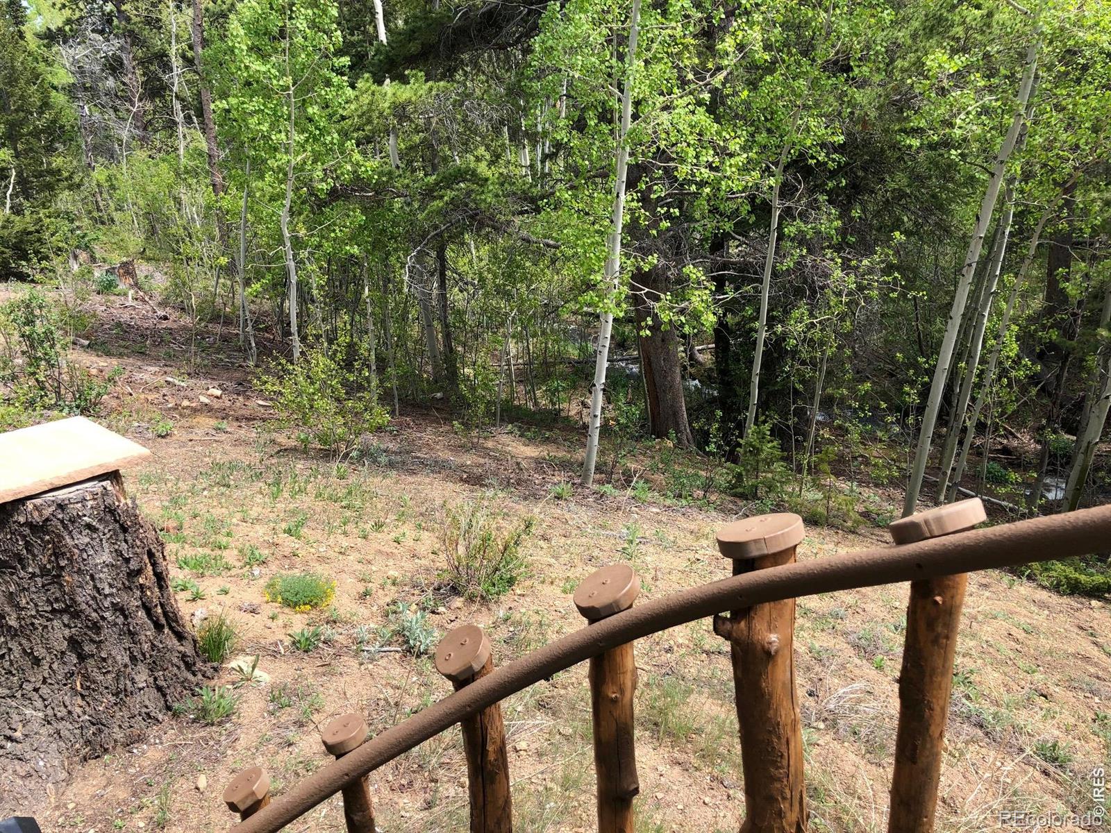 MLS Image #31 for 131  county road 90 ,allenspark, Colorado