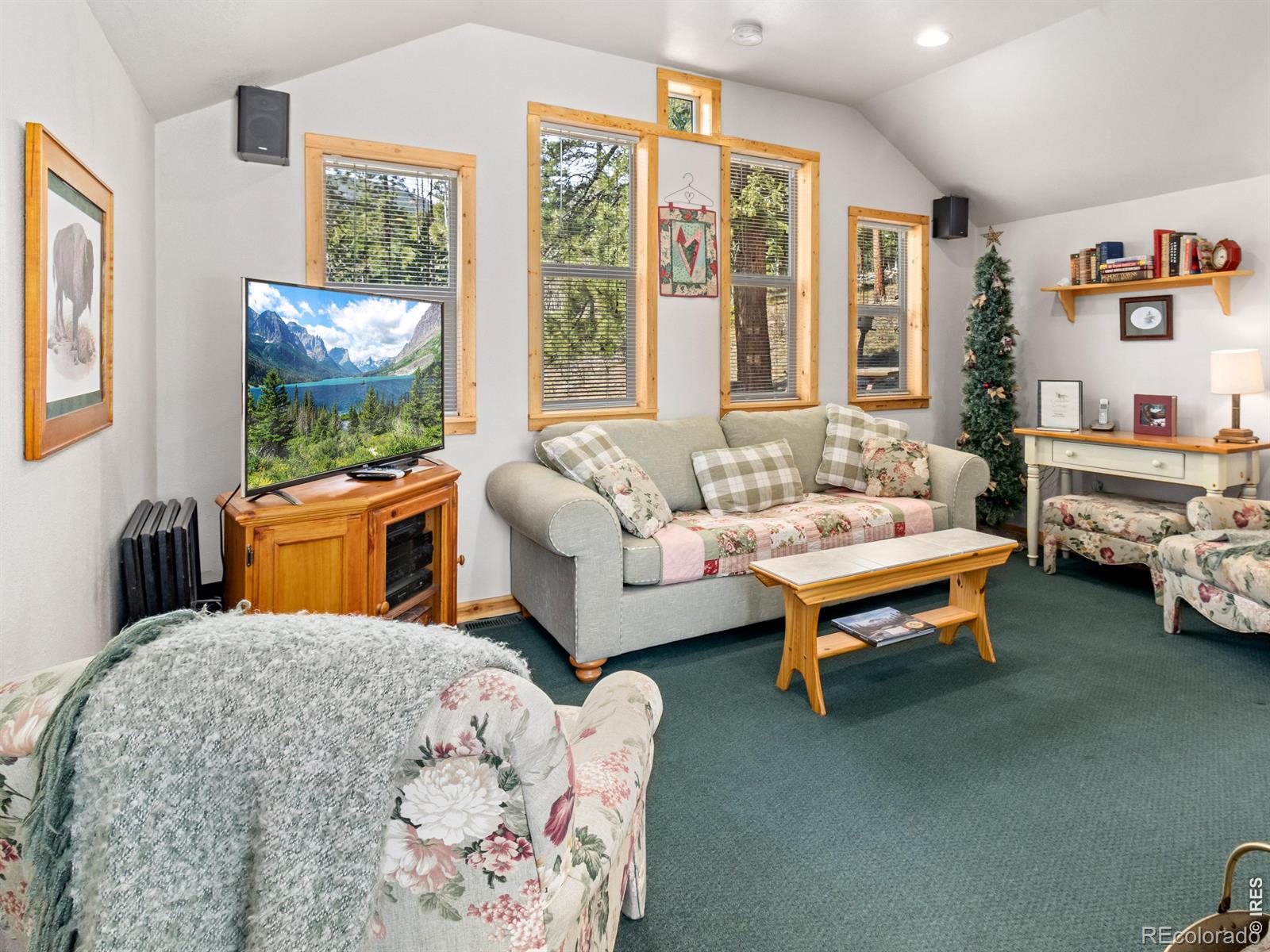 MLS Image #5 for 131  county road 90 ,allenspark, Colorado