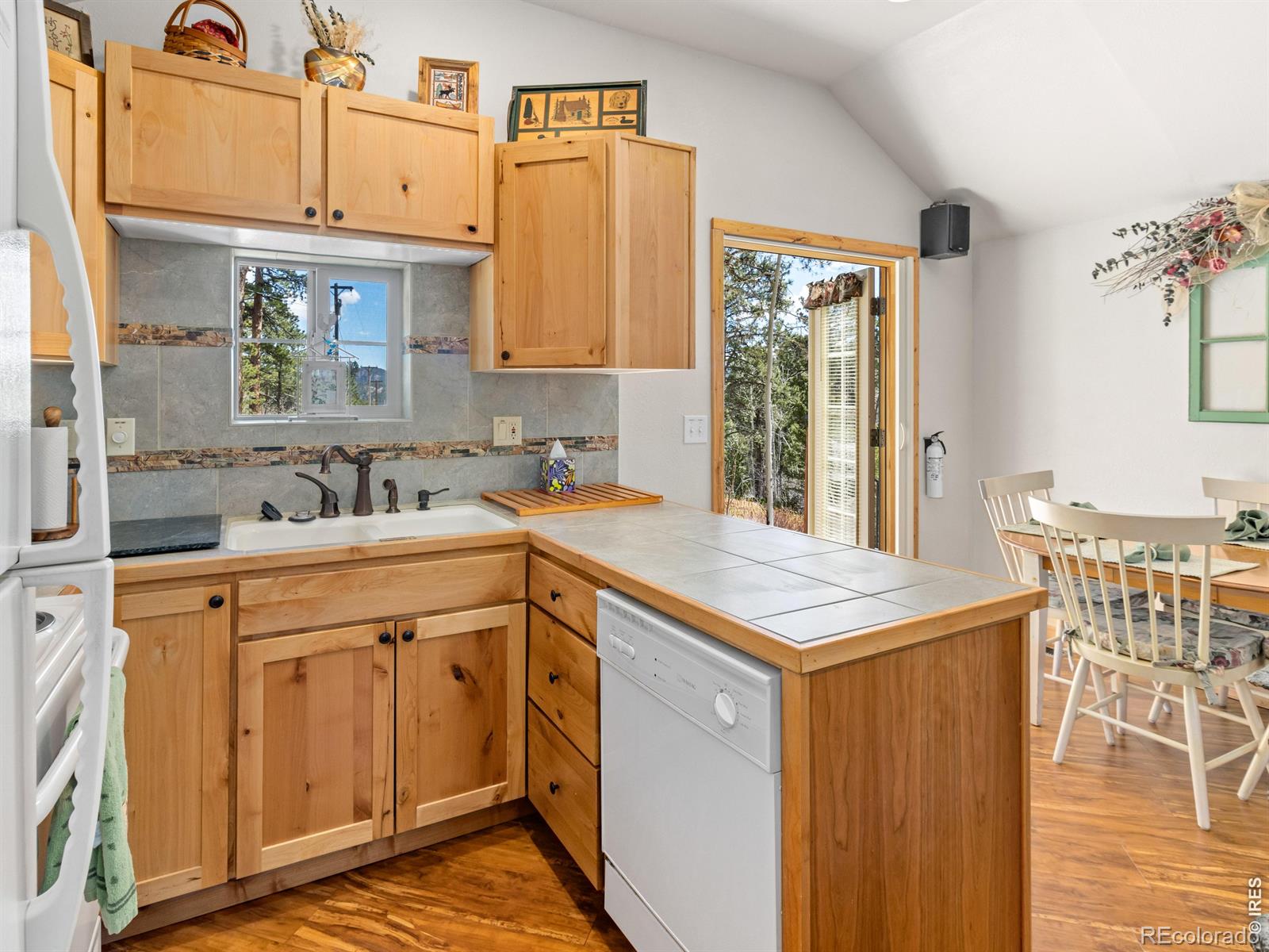 MLS Image #7 for 131  county road 90 ,allenspark, Colorado