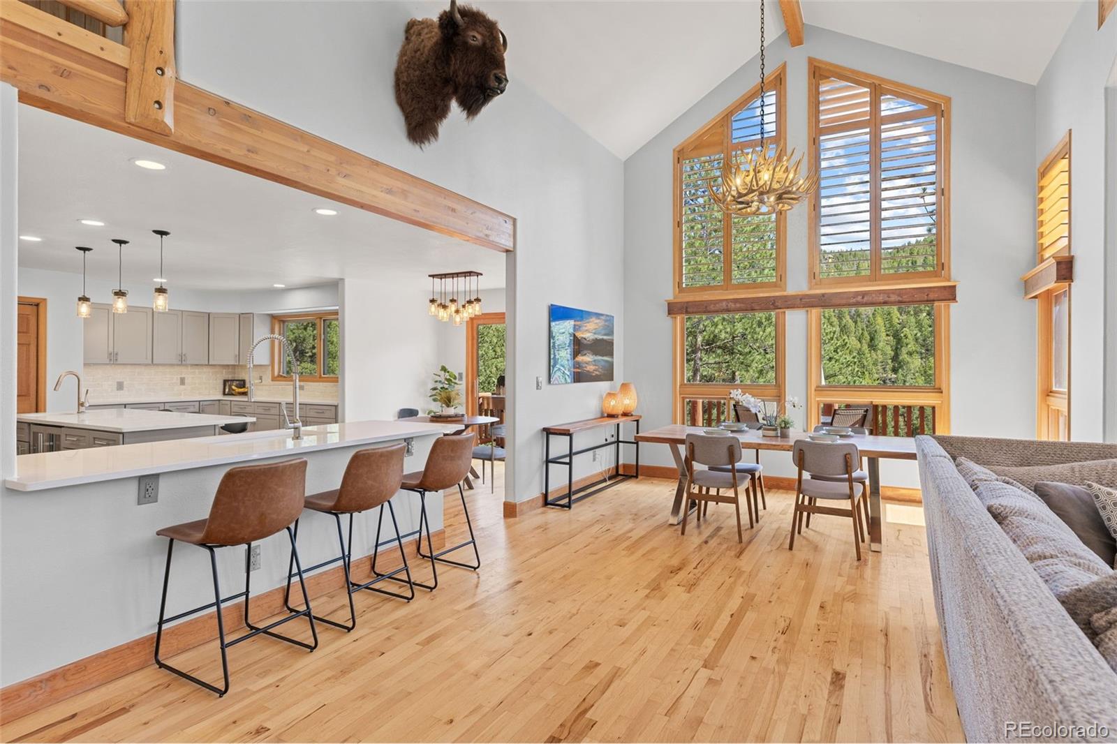 MLS Image #12 for 32230  aspen meadow drive,evergreen, Colorado