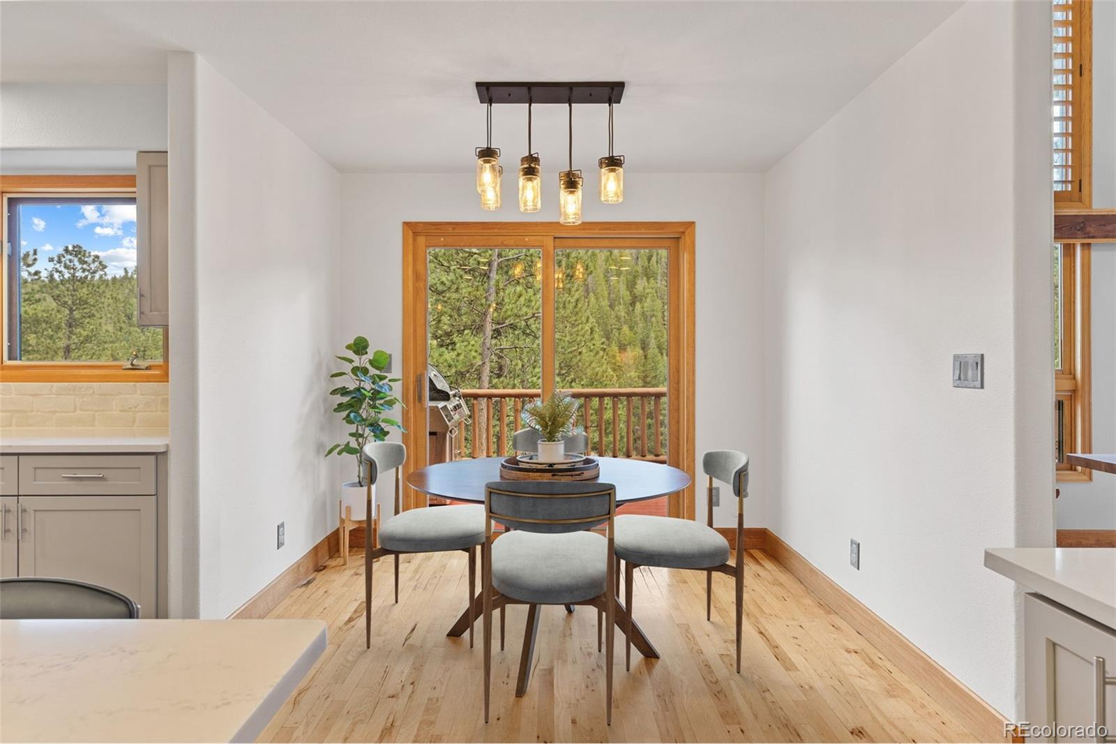 MLS Image #17 for 32230  aspen meadow drive,evergreen, Colorado