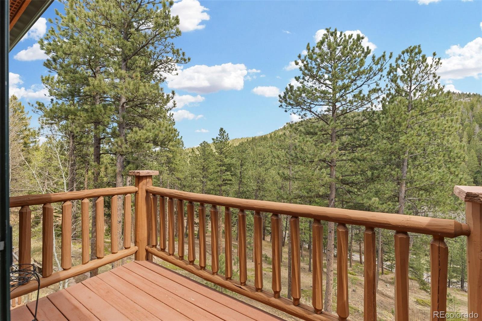 MLS Image #25 for 32230  aspen meadow drive,evergreen, Colorado