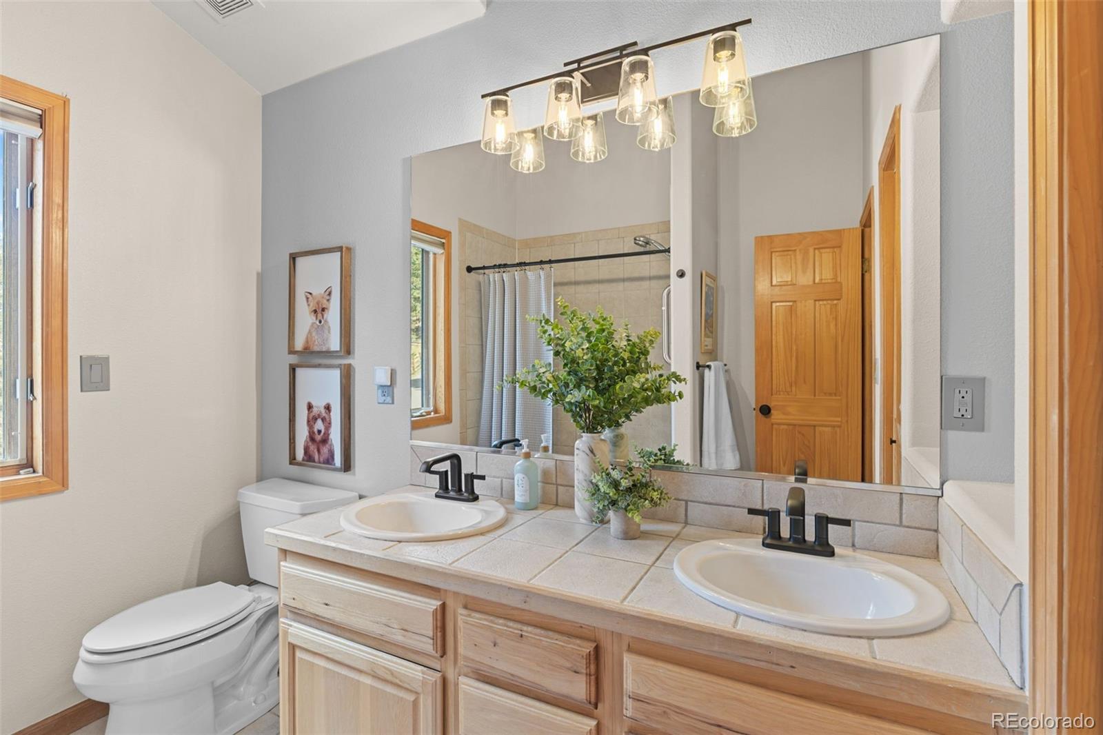 MLS Image #33 for 32230  aspen meadow drive,evergreen, Colorado