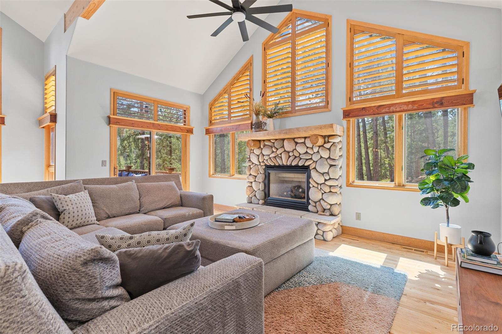 MLS Image #6 for 32230  aspen meadow drive,evergreen, Colorado