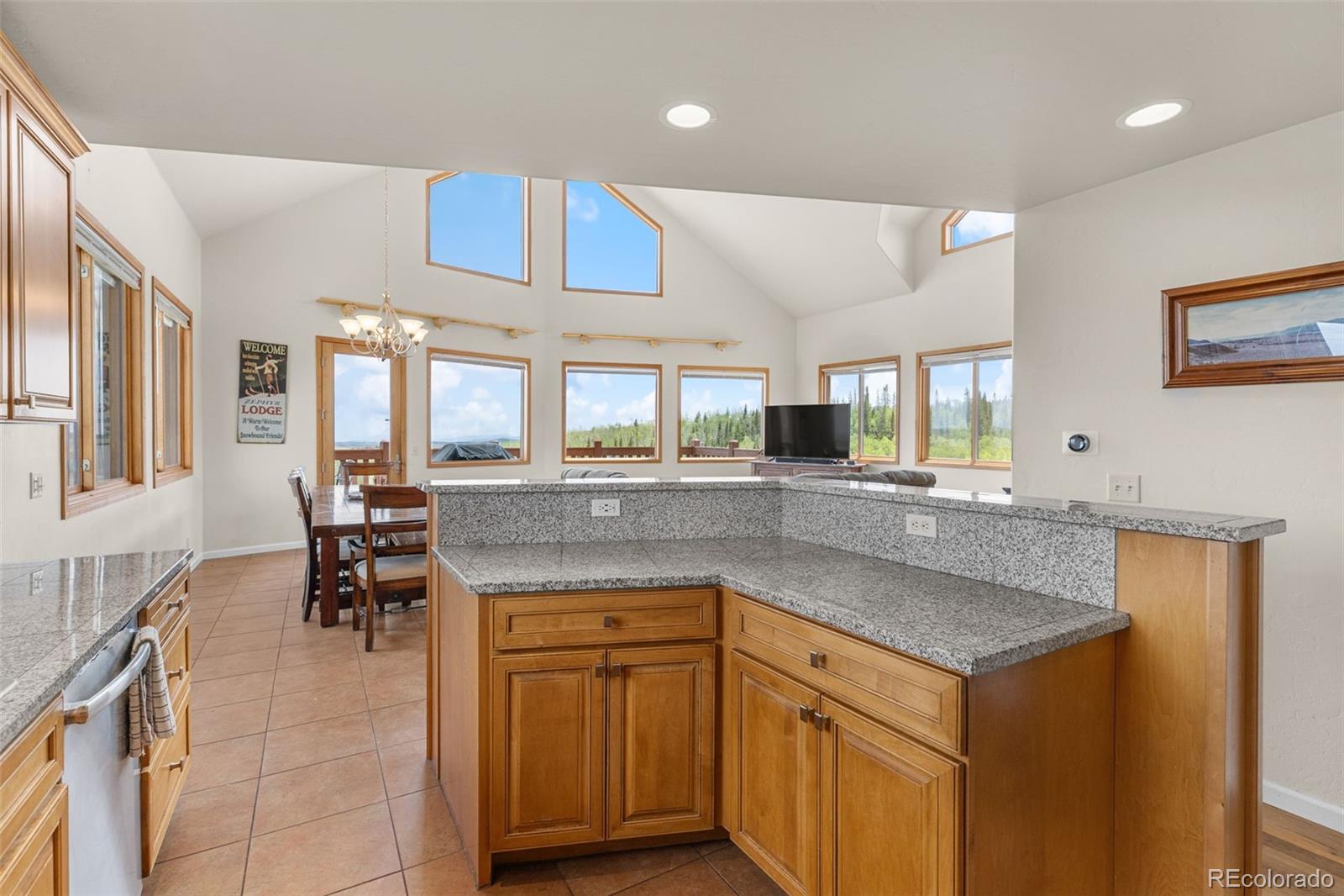 MLS Image #15 for 566  palmer peak drive,fairplay, Colorado