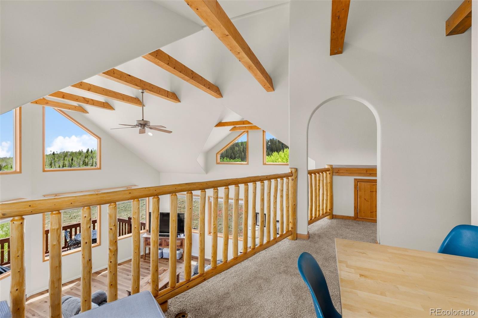 MLS Image #18 for 566  palmer peak drive,fairplay, Colorado