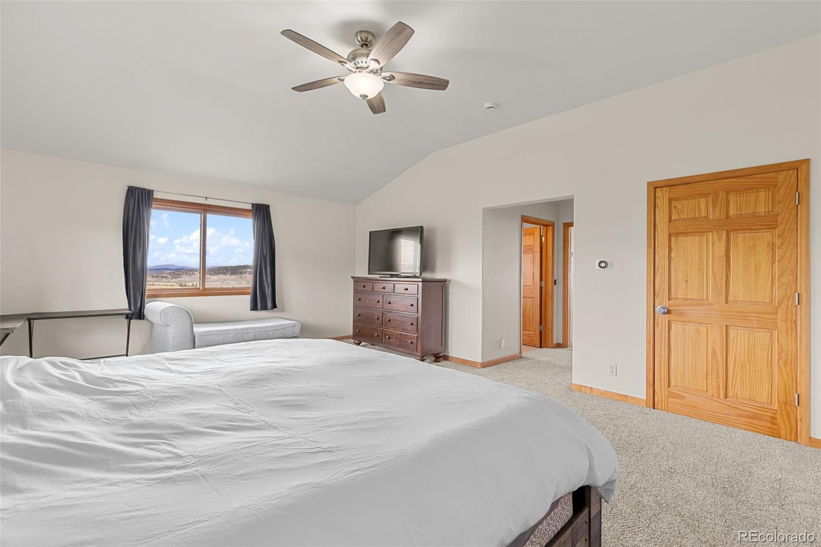 MLS Image #20 for 566  palmer peak drive,fairplay, Colorado