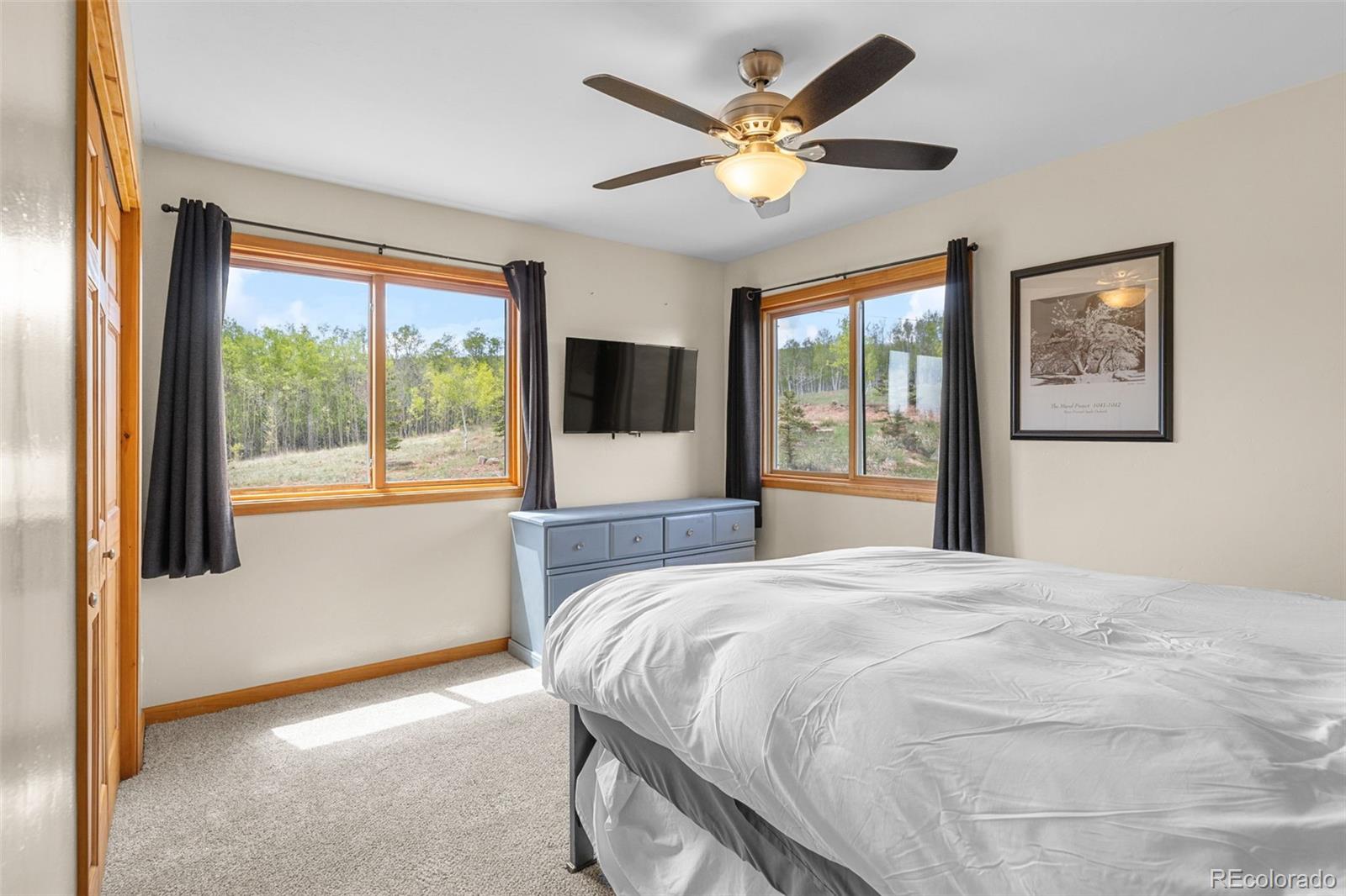 MLS Image #25 for 566  palmer peak drive,fairplay, Colorado