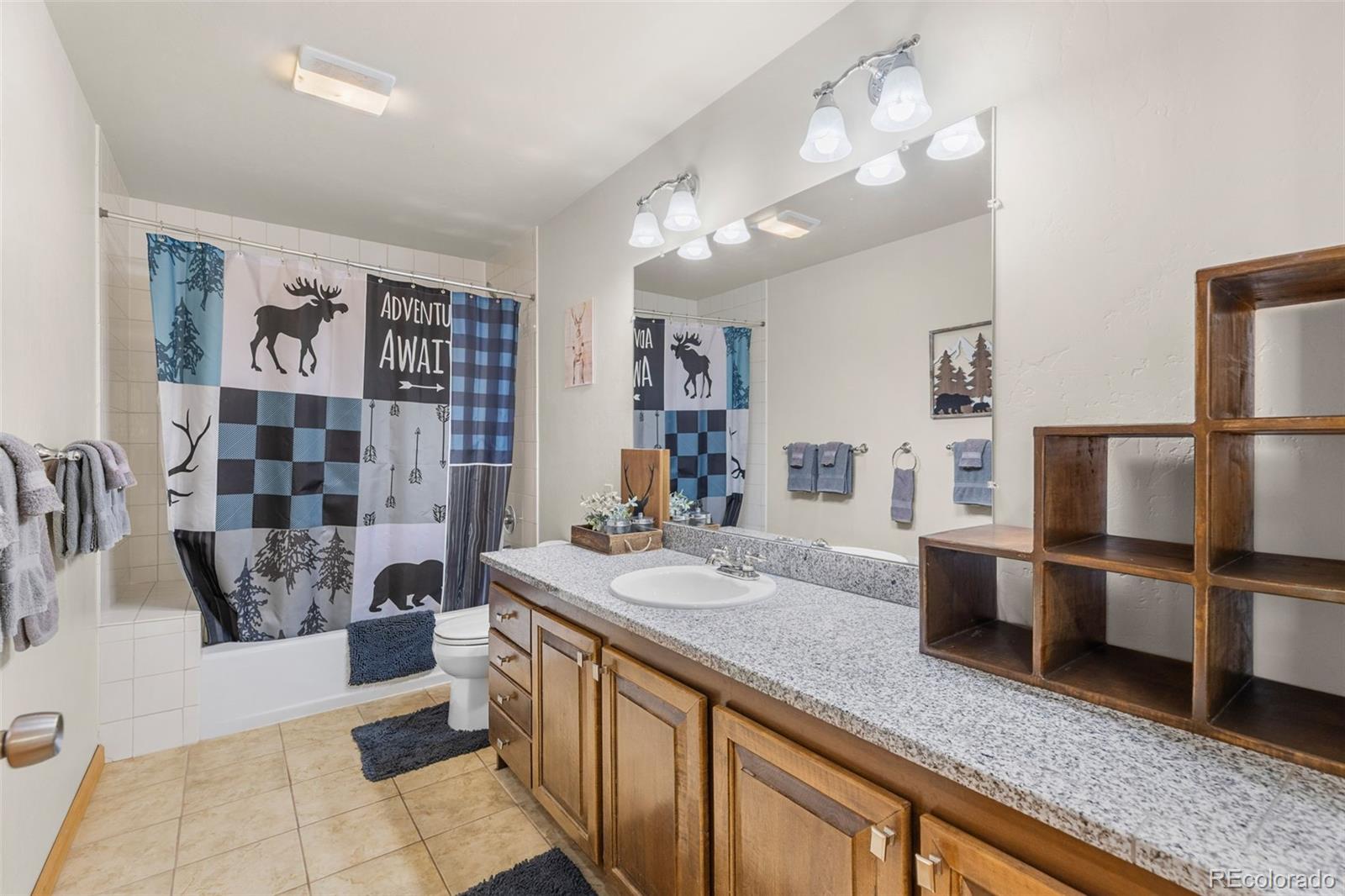 MLS Image #27 for 566  palmer peak drive,fairplay, Colorado