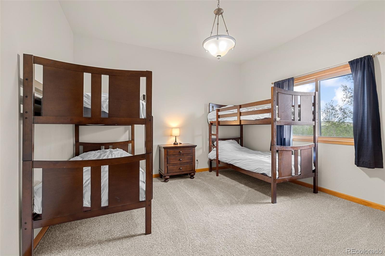 MLS Image #31 for 566  palmer peak drive,fairplay, Colorado