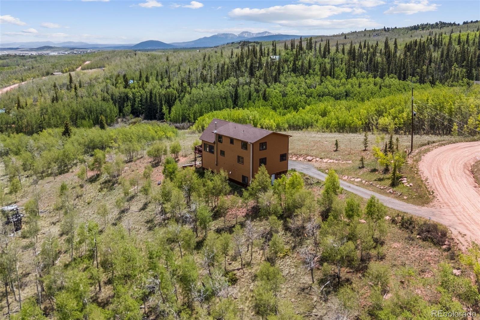 MLS Image #33 for 566  palmer peak drive,fairplay, Colorado