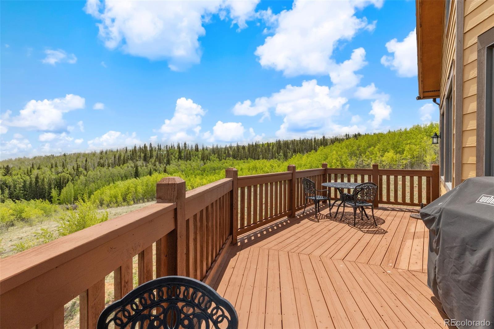 MLS Image #34 for 566  palmer peak drive,fairplay, Colorado