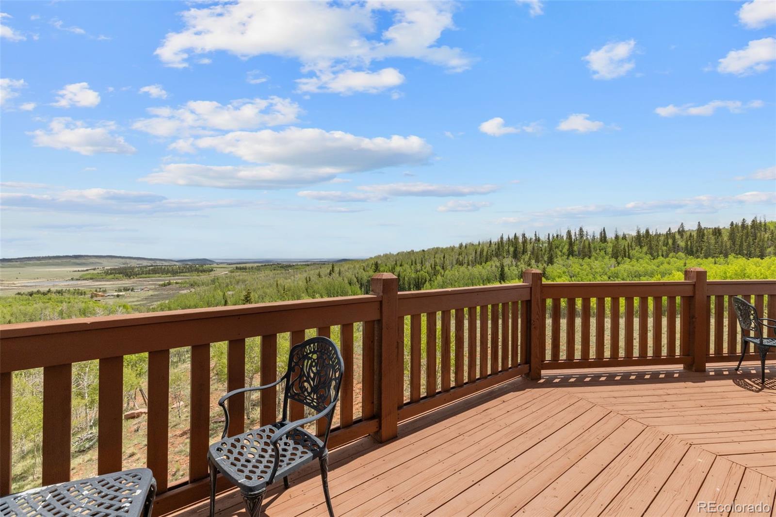 MLS Image #35 for 566  palmer peak drive,fairplay, Colorado
