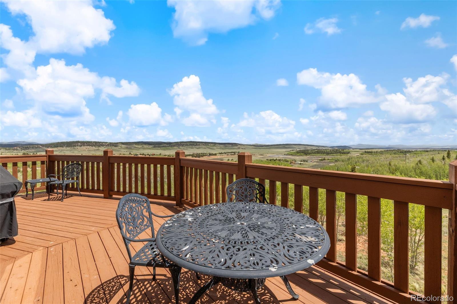 MLS Image #36 for 566  palmer peak drive,fairplay, Colorado