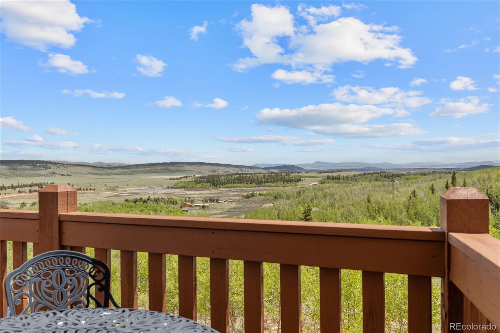 MLS Image #37 for 566  palmer peak drive,fairplay, Colorado