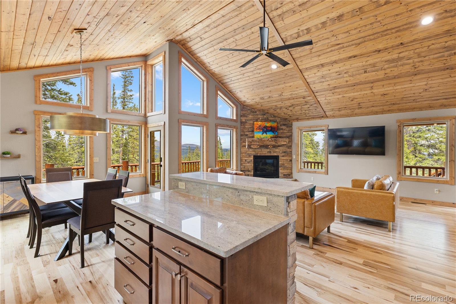 MLS Image #14 for 181  valley of the sun drive,fairplay, Colorado