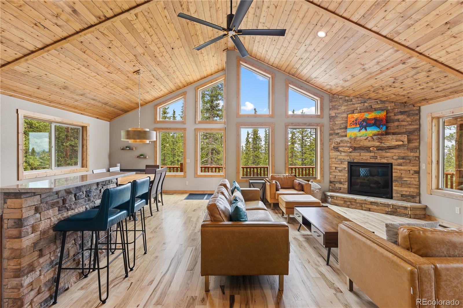 MLS Image #15 for 181  valley of the sun drive,fairplay, Colorado