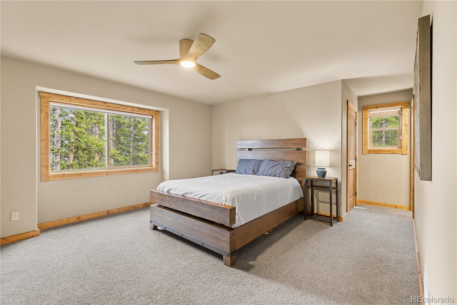 MLS Image #16 for 181  valley of the sun drive,fairplay, Colorado