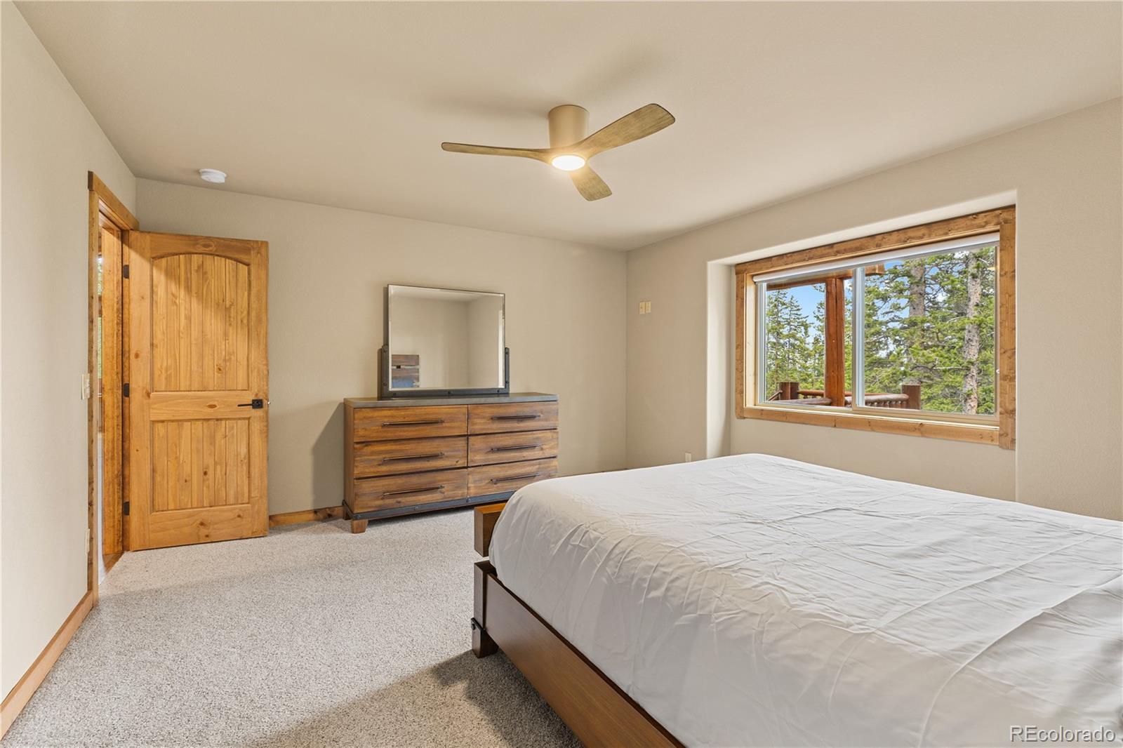 MLS Image #17 for 181  valley of the sun drive,fairplay, Colorado