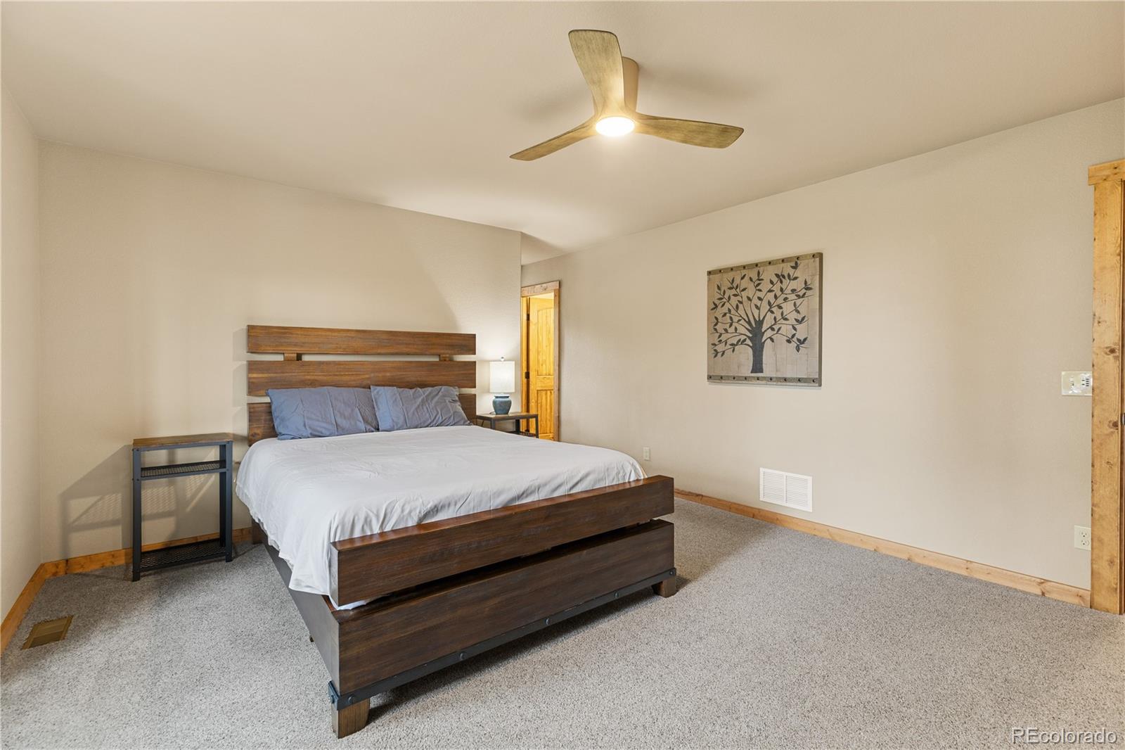 MLS Image #18 for 181  valley of the sun drive,fairplay, Colorado