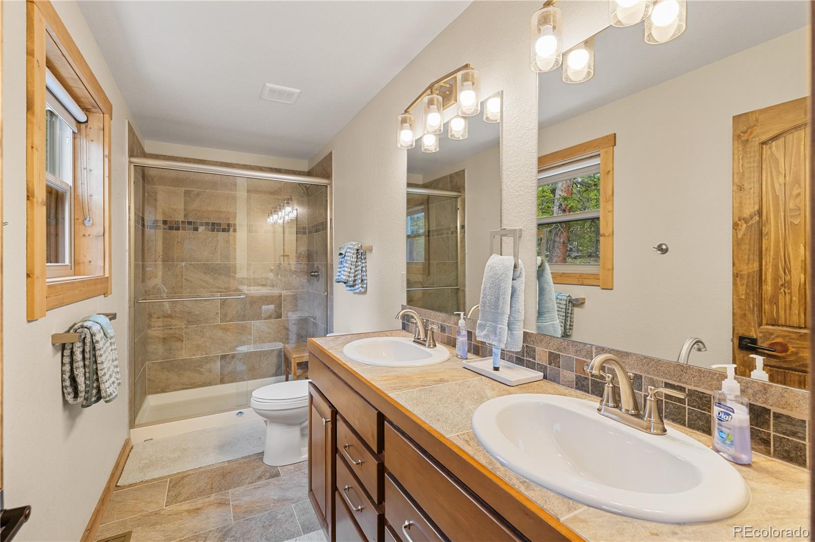 MLS Image #19 for 181  valley of the sun drive,fairplay, Colorado