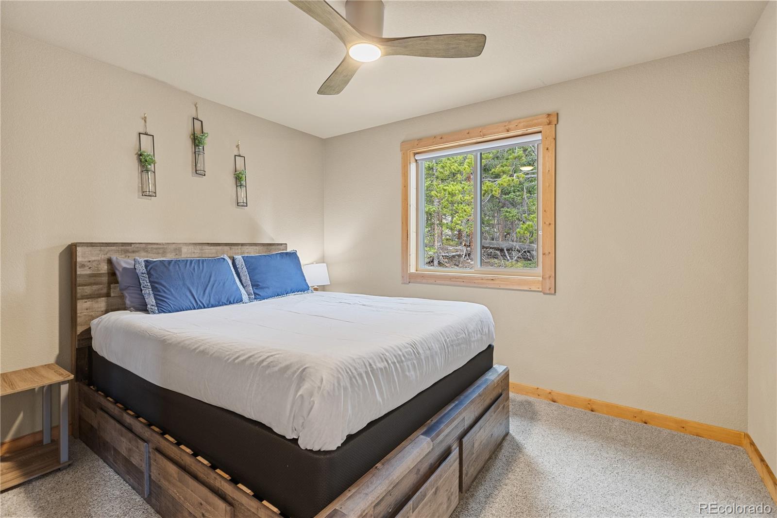 MLS Image #21 for 181  valley of the sun drive,fairplay, Colorado