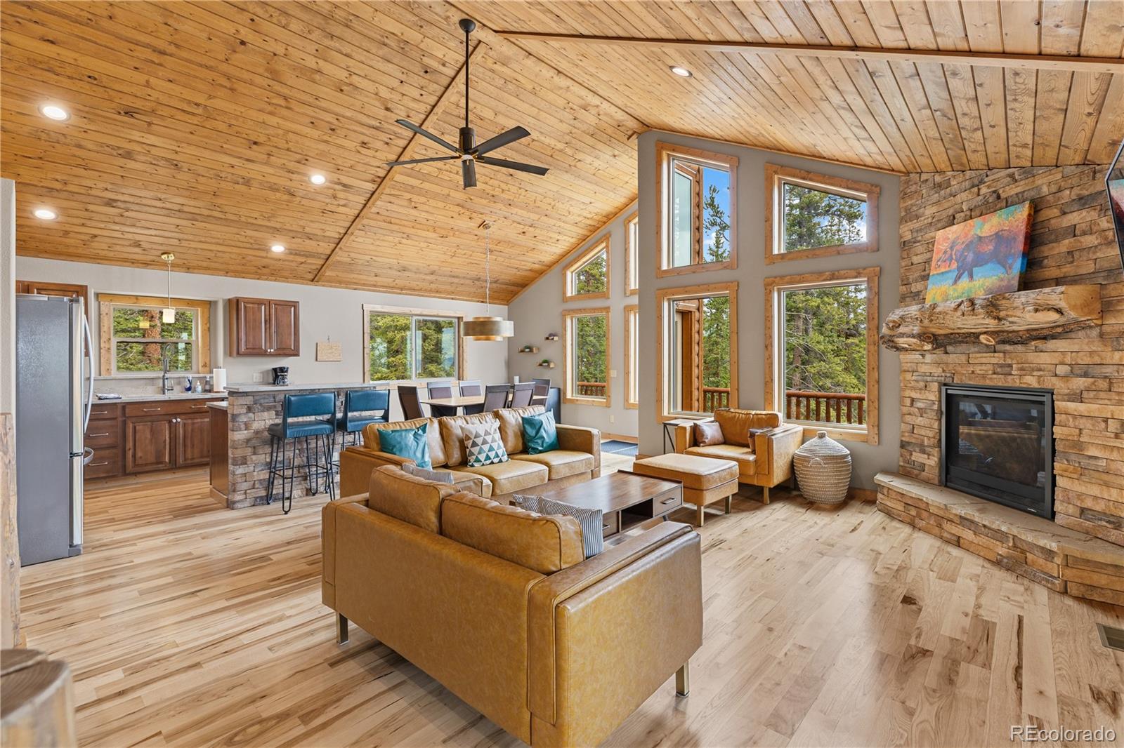 MLS Image #3 for 181  valley of the sun drive,fairplay, Colorado